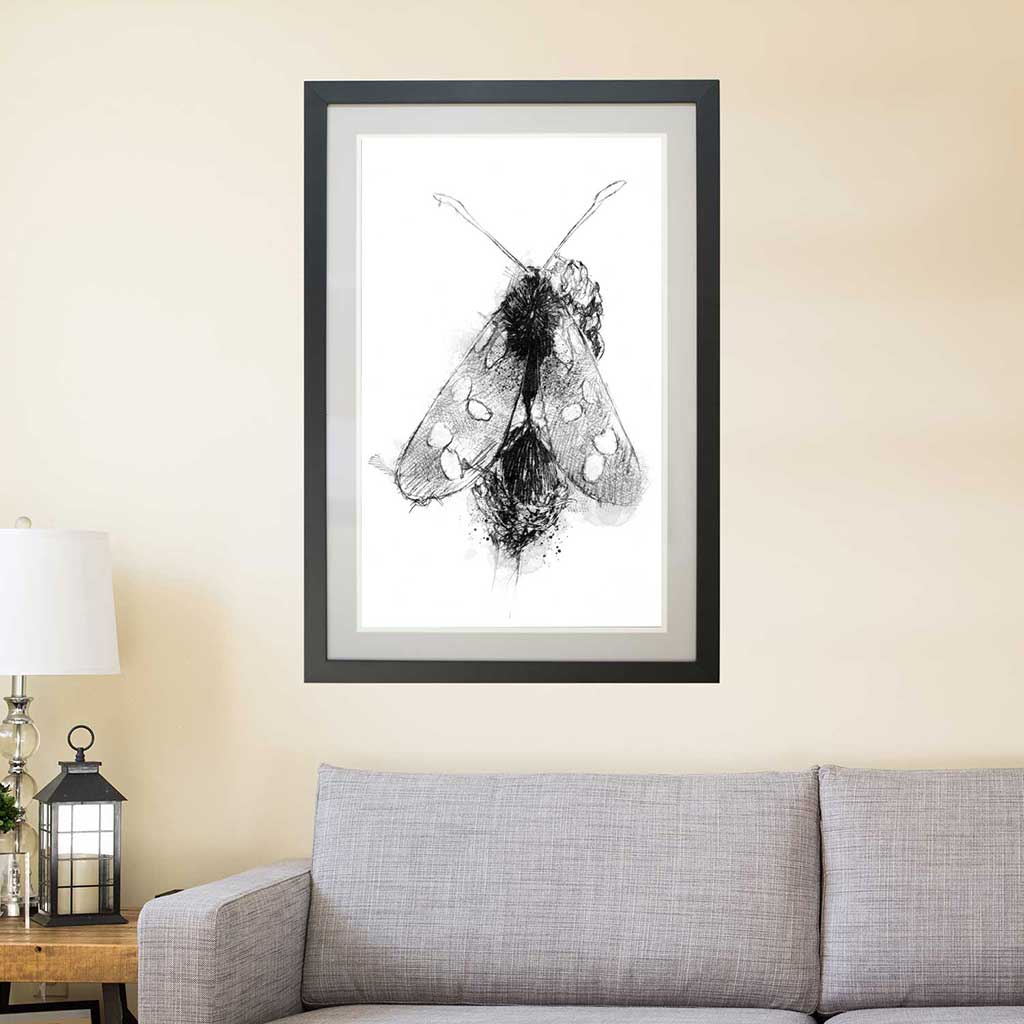 Burnet moth