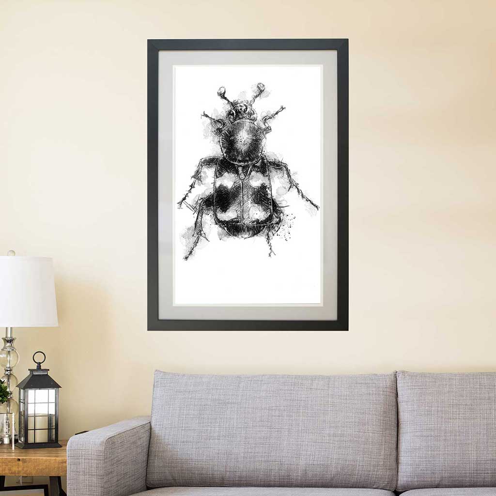 Burying beetle