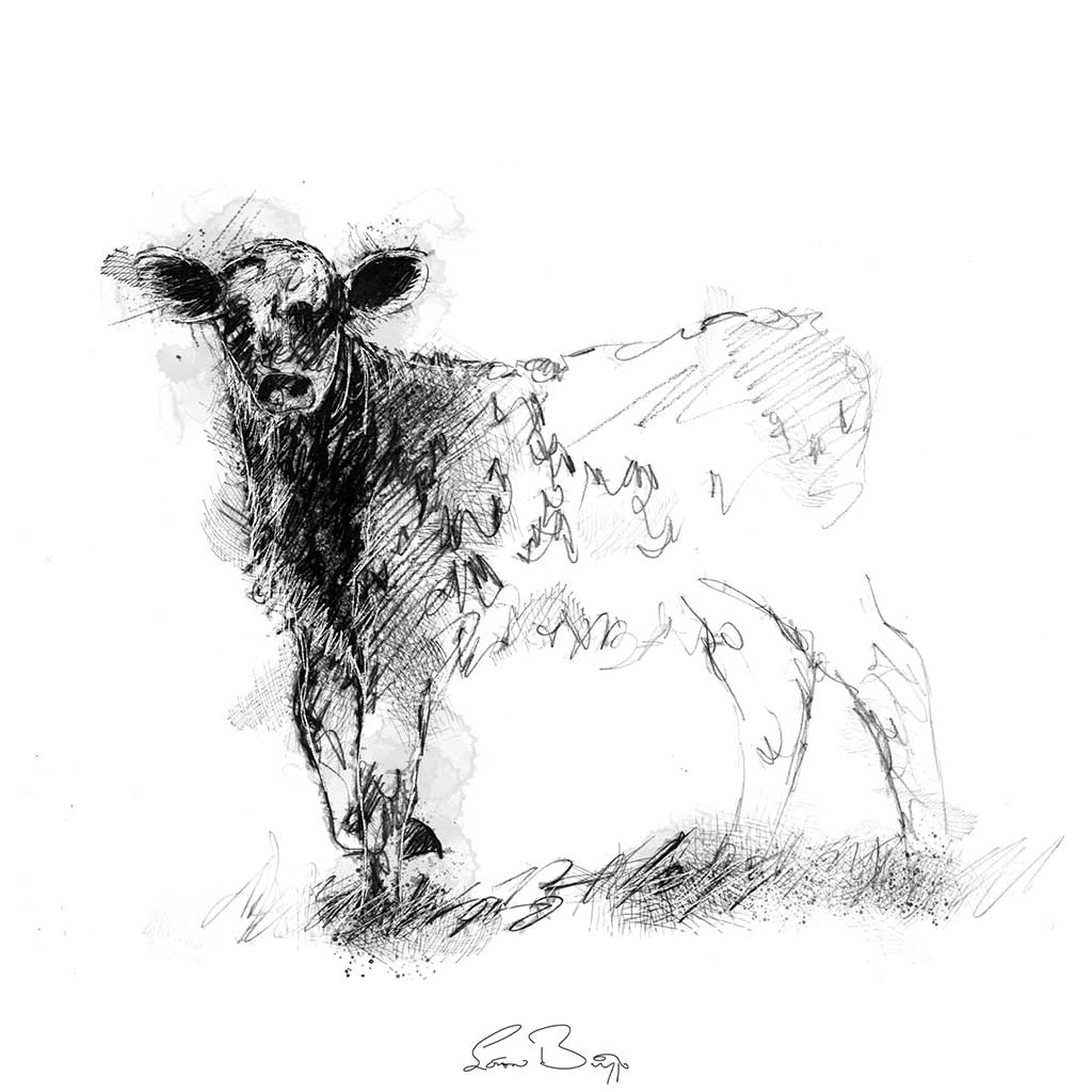 Calf