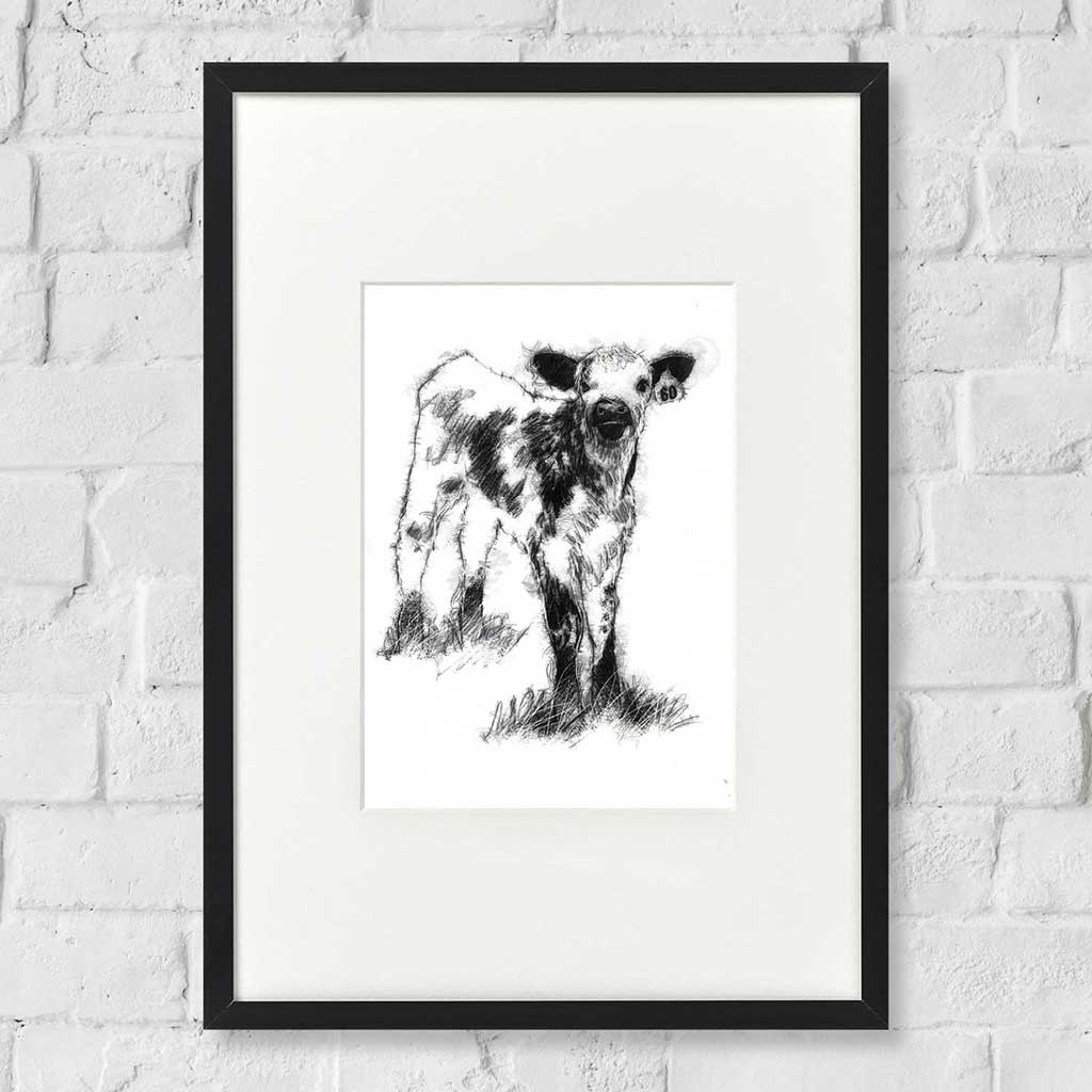 Speckled calf