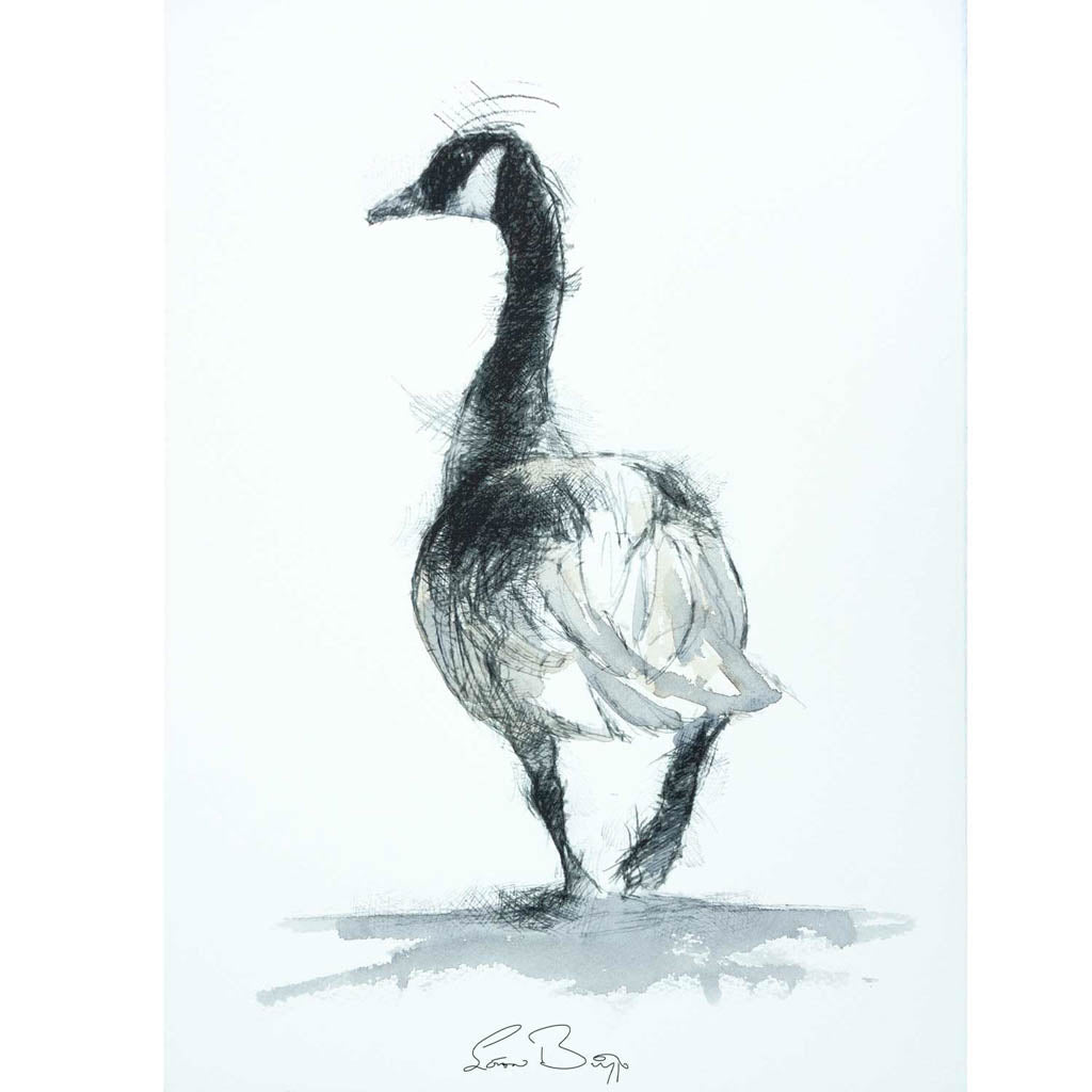 Canada goose watercolour