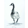 Canada goose watercolour