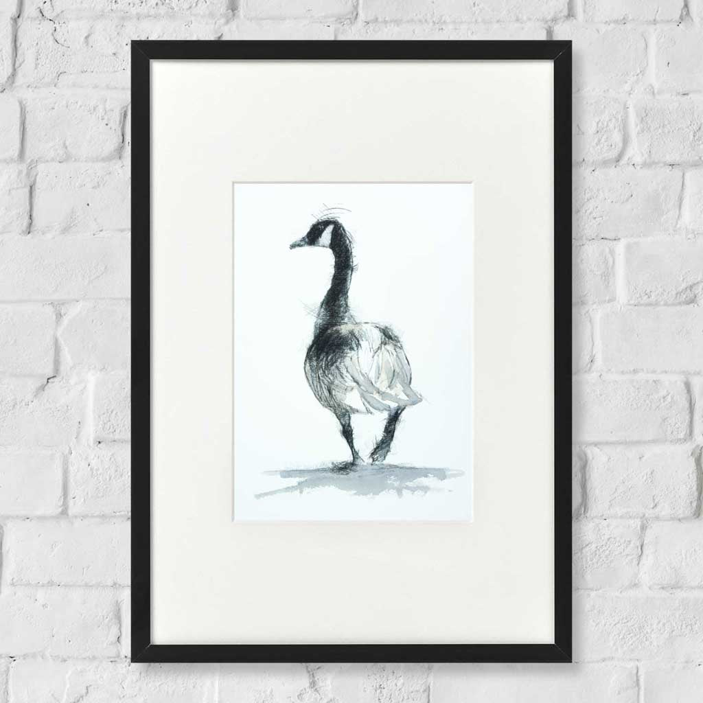 Canada goose watercolour