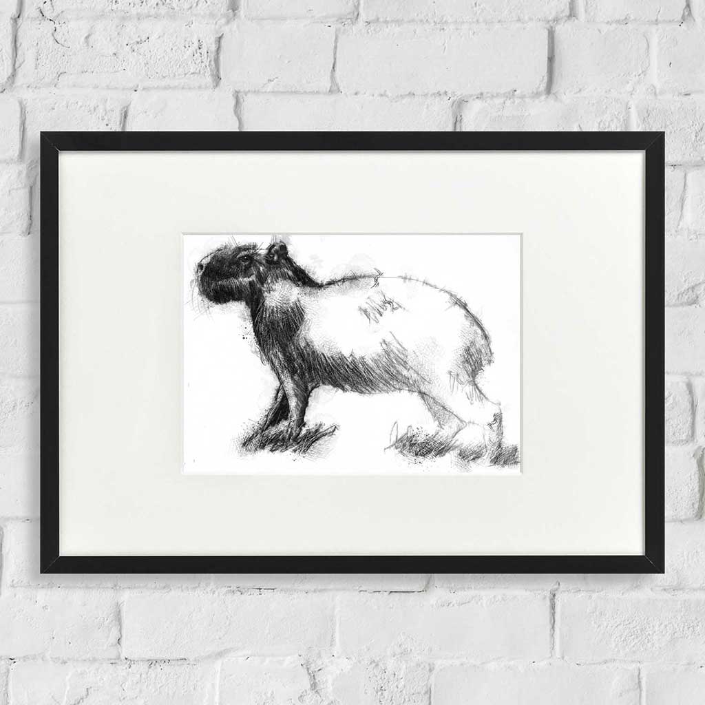 Capybara