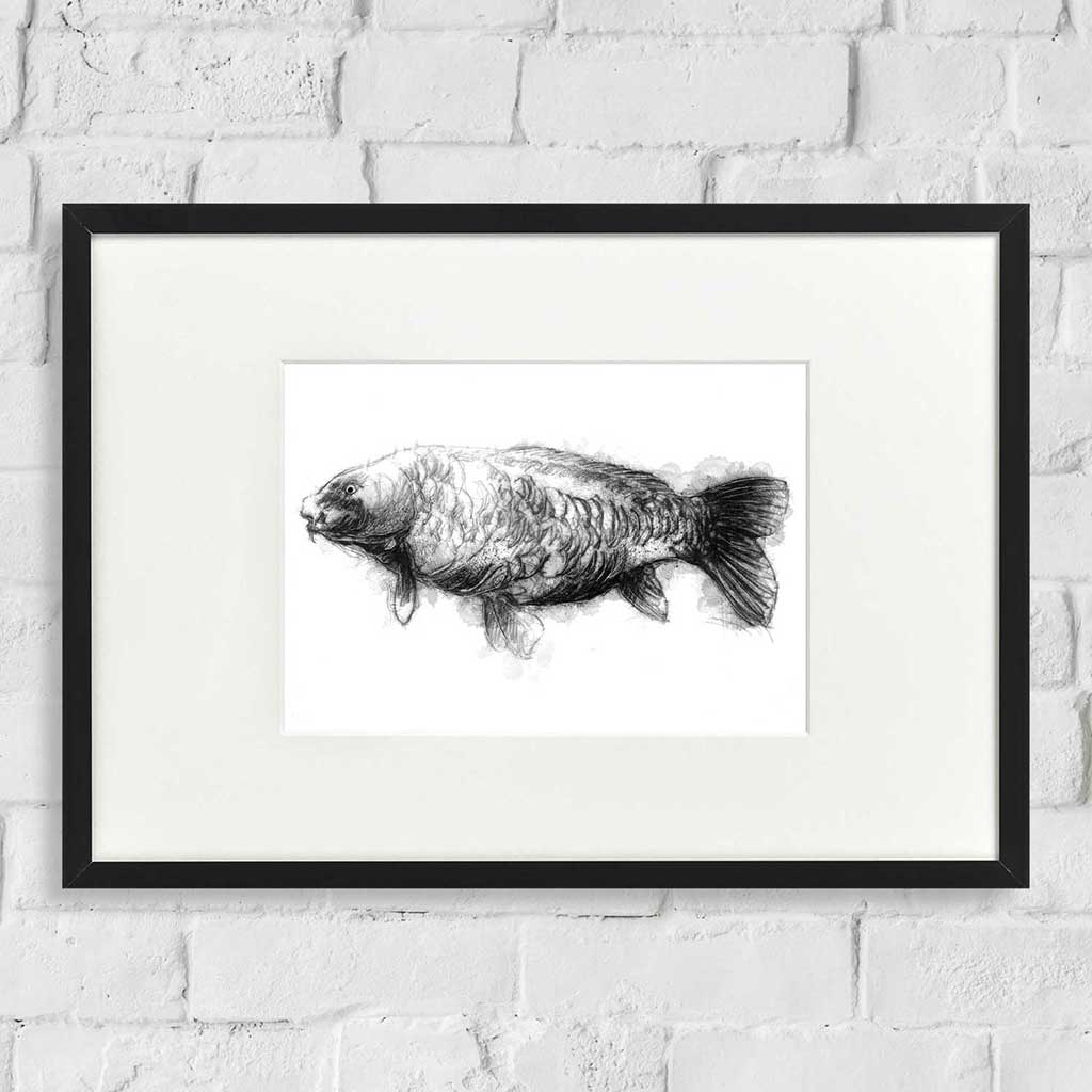 Large carp