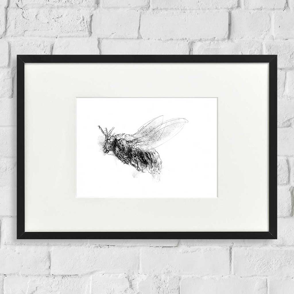 Carpenter bee