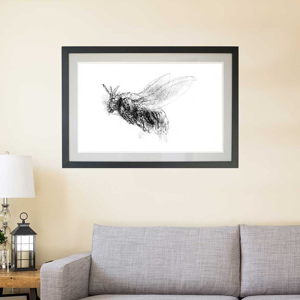 Carpenter bee