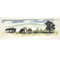 Longhorn cows - Colour Sketch | Original