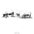 Being with cows_chapter10