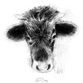 Being with cows_chapter11
