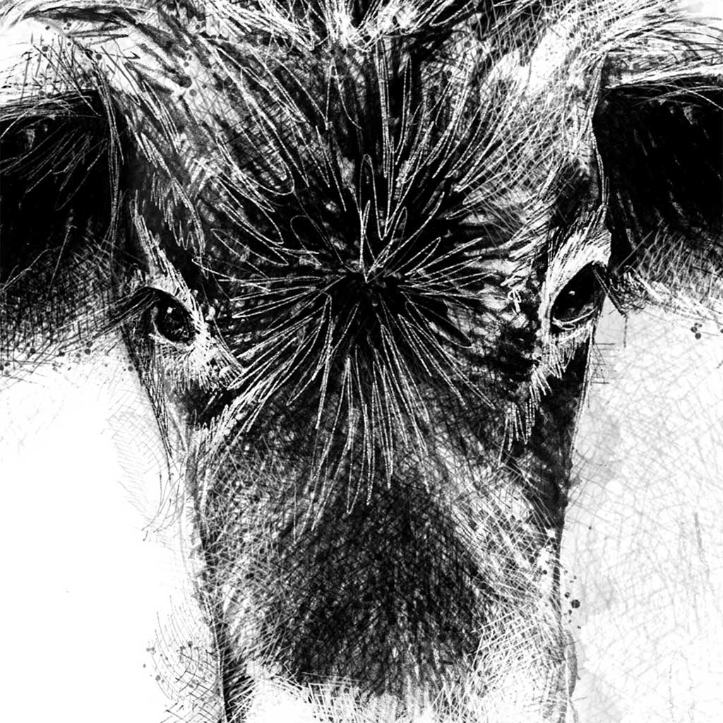 Being with cows_chapter11