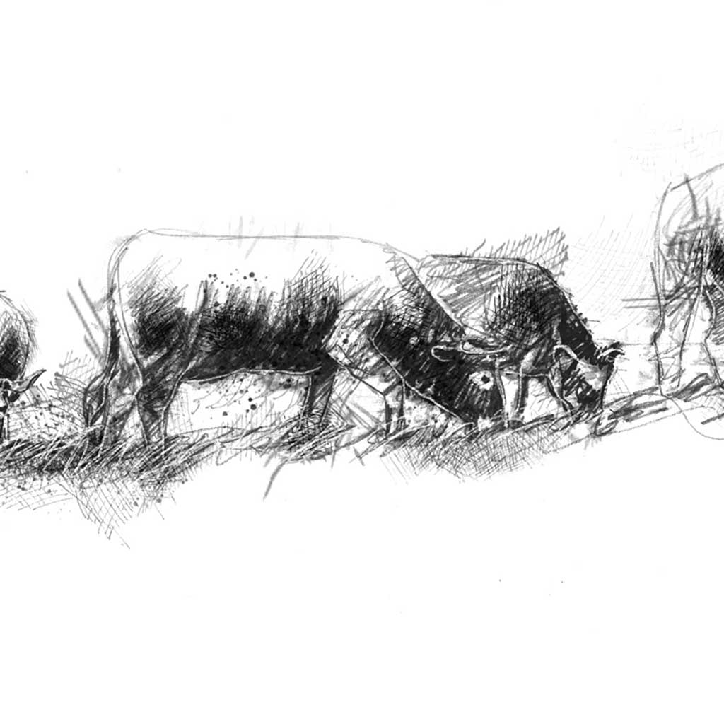 Being with cows_chapter2