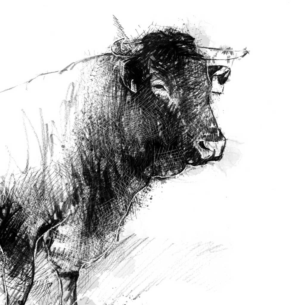 Being with cows_chapter5