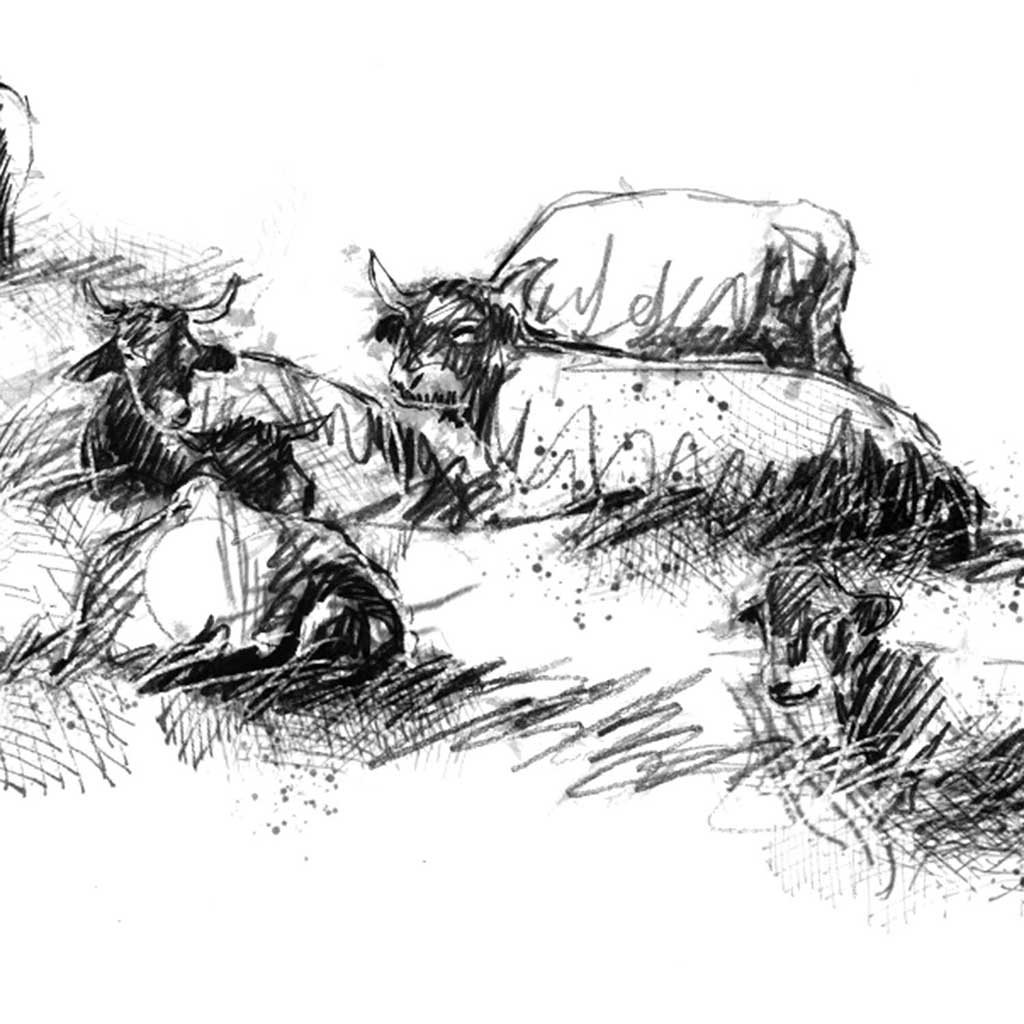 Being with cows_chapter6