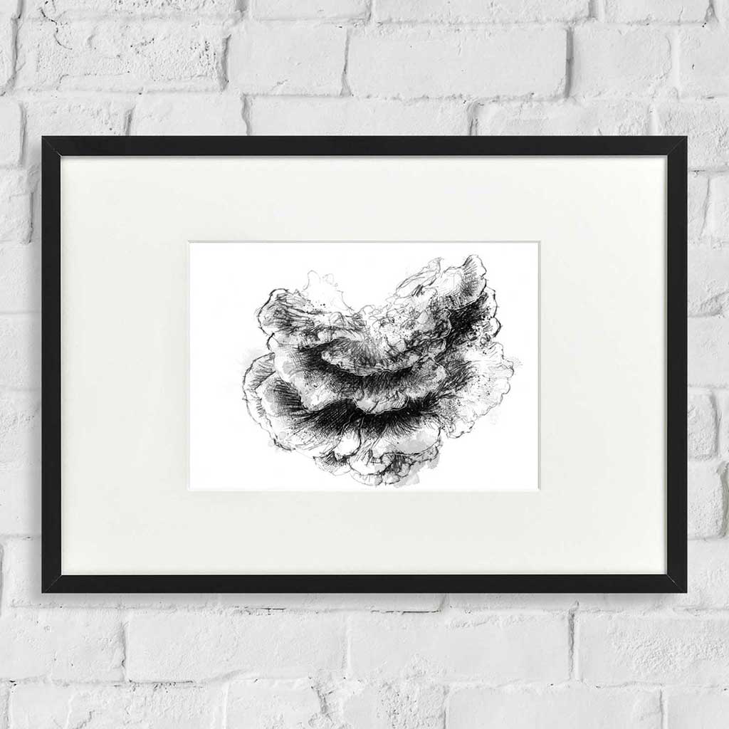 Chicken of the wood