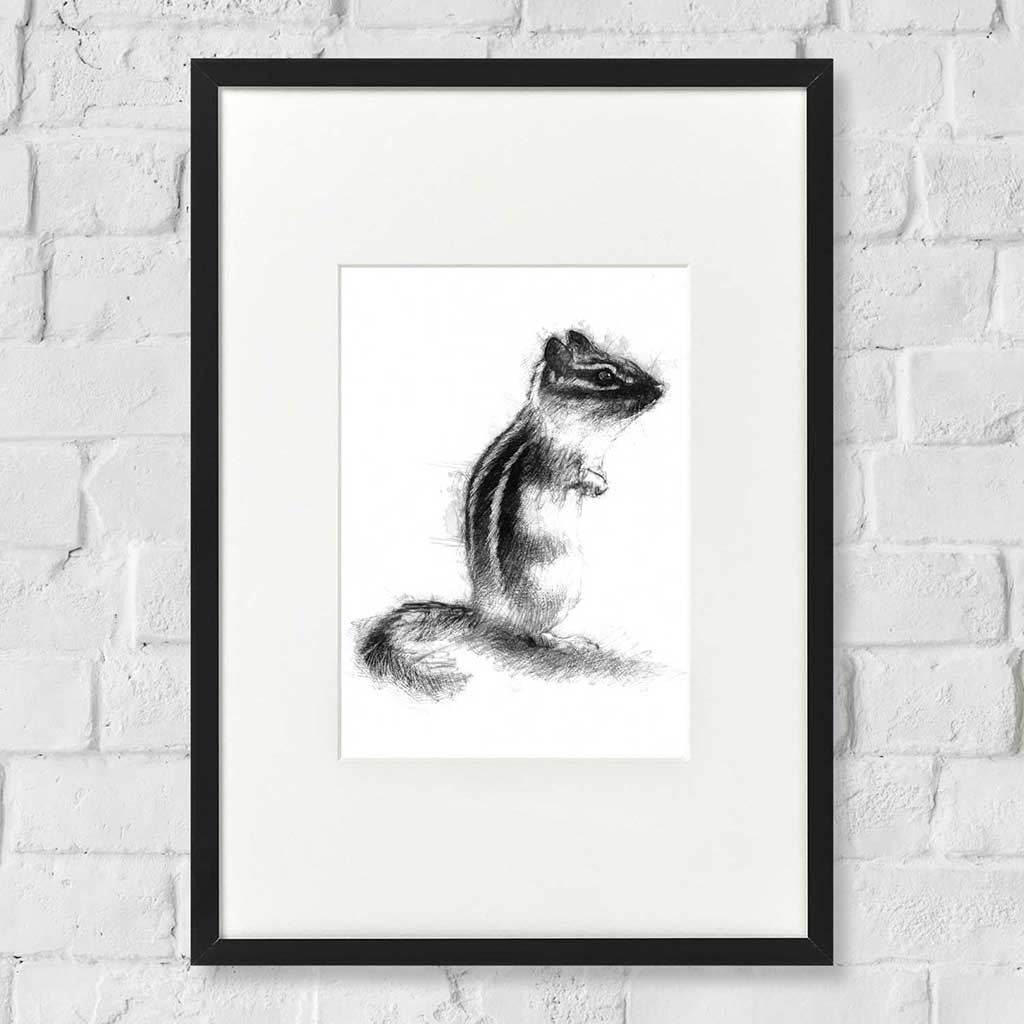 Chipmunk