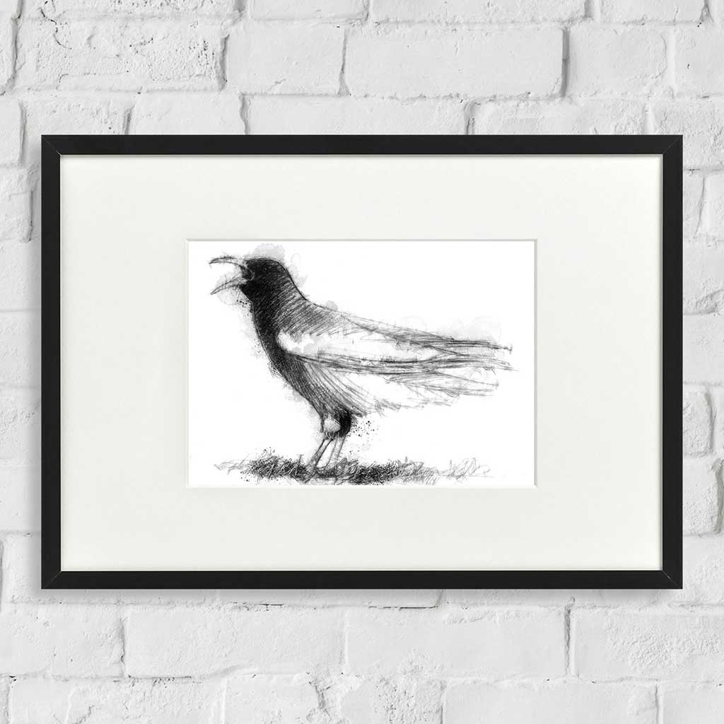 Chough