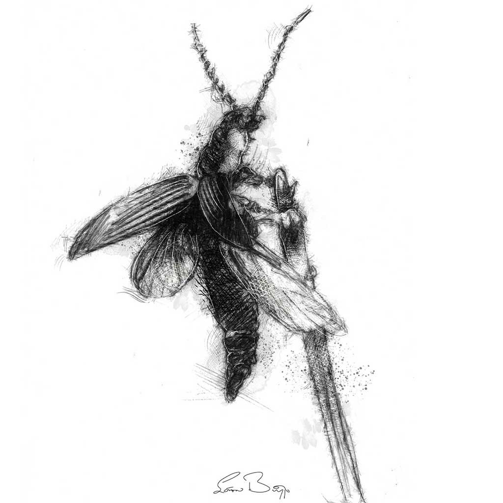 Click bug