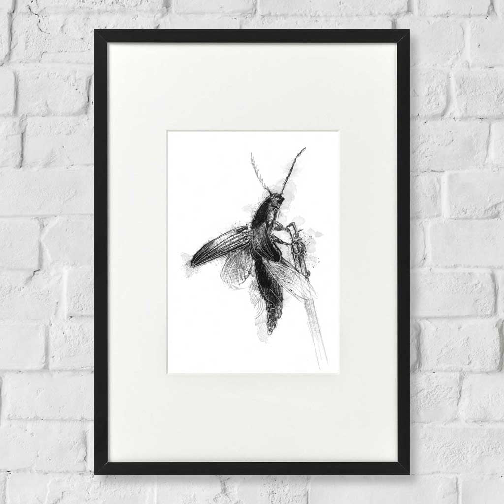 Click beetle