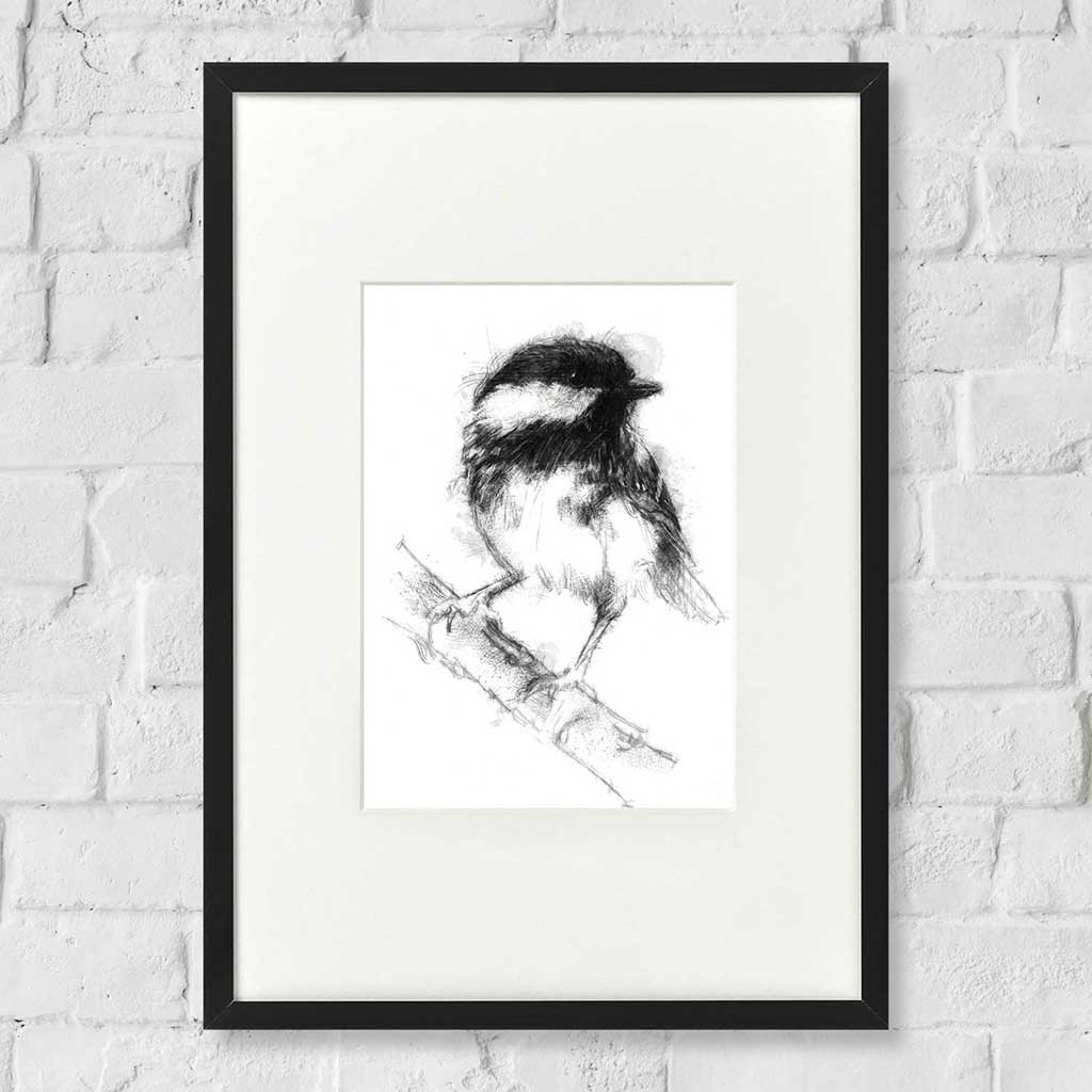 Great tit