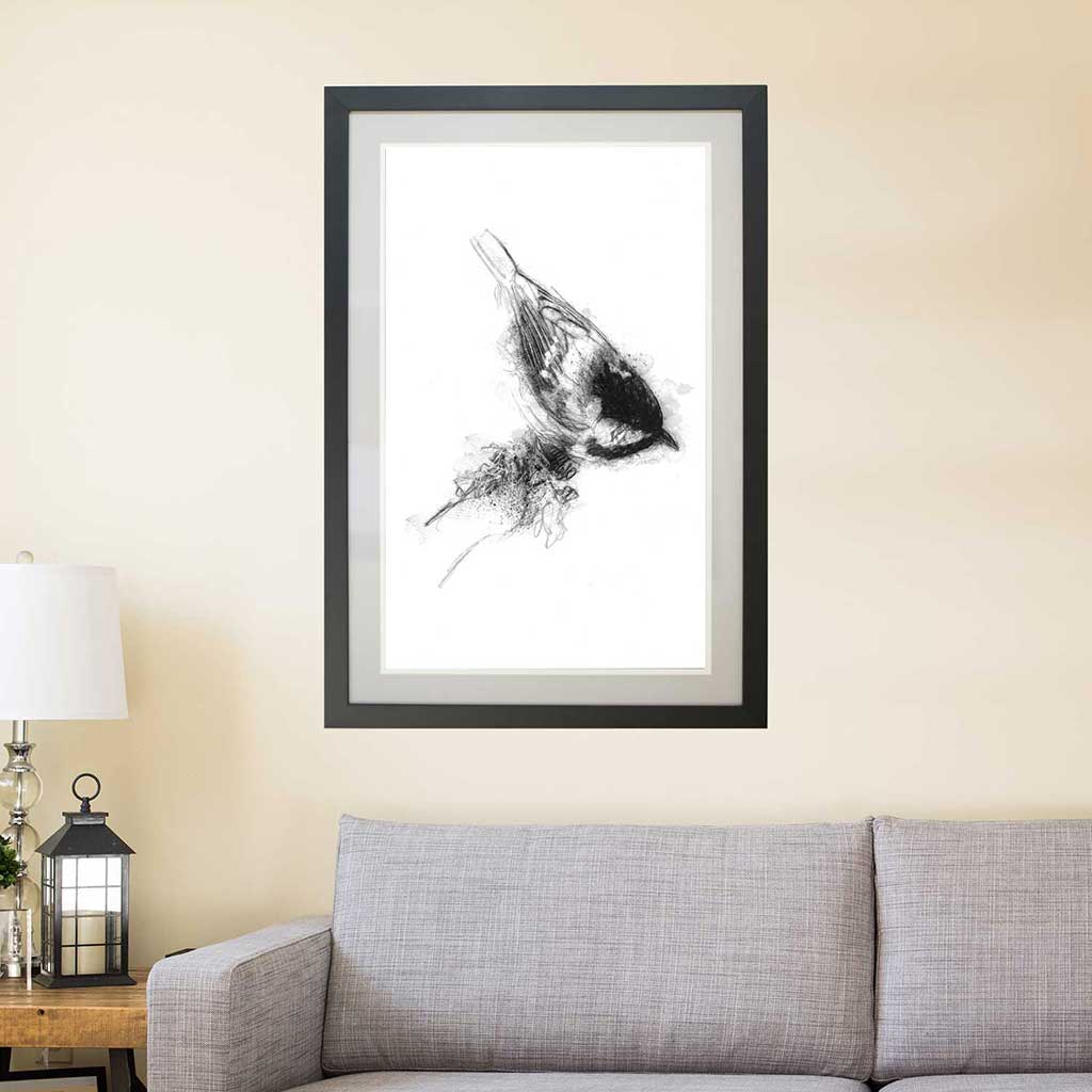 Coal tit
