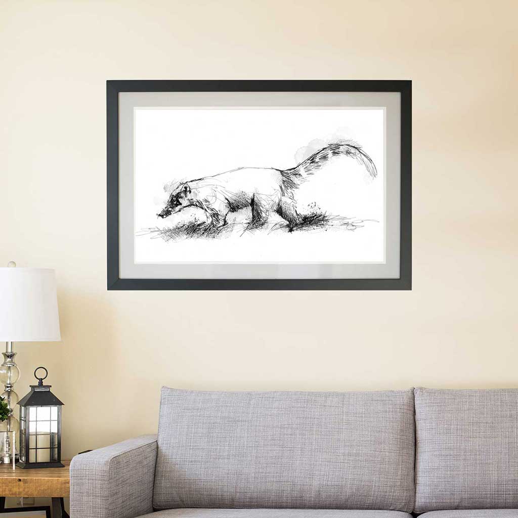 Coati