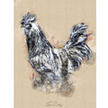 Cockerel