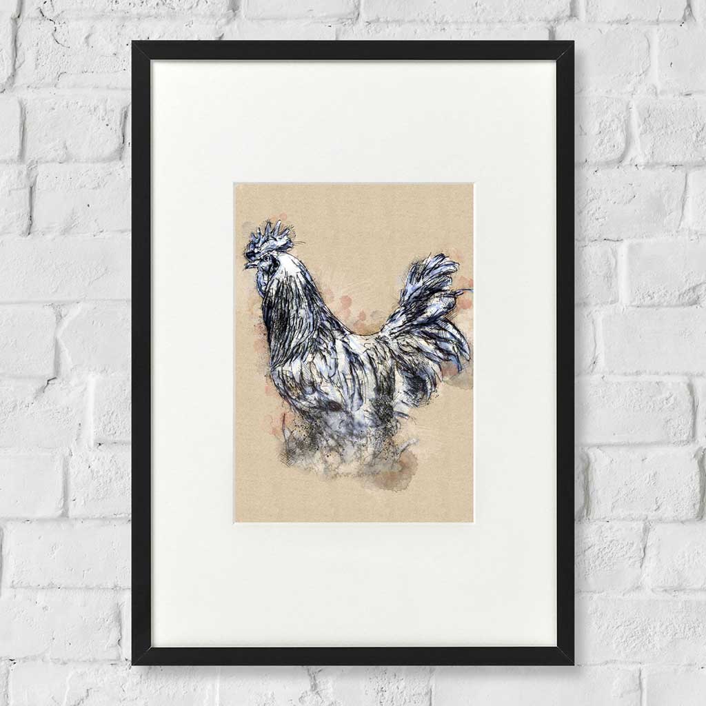 Cockerel