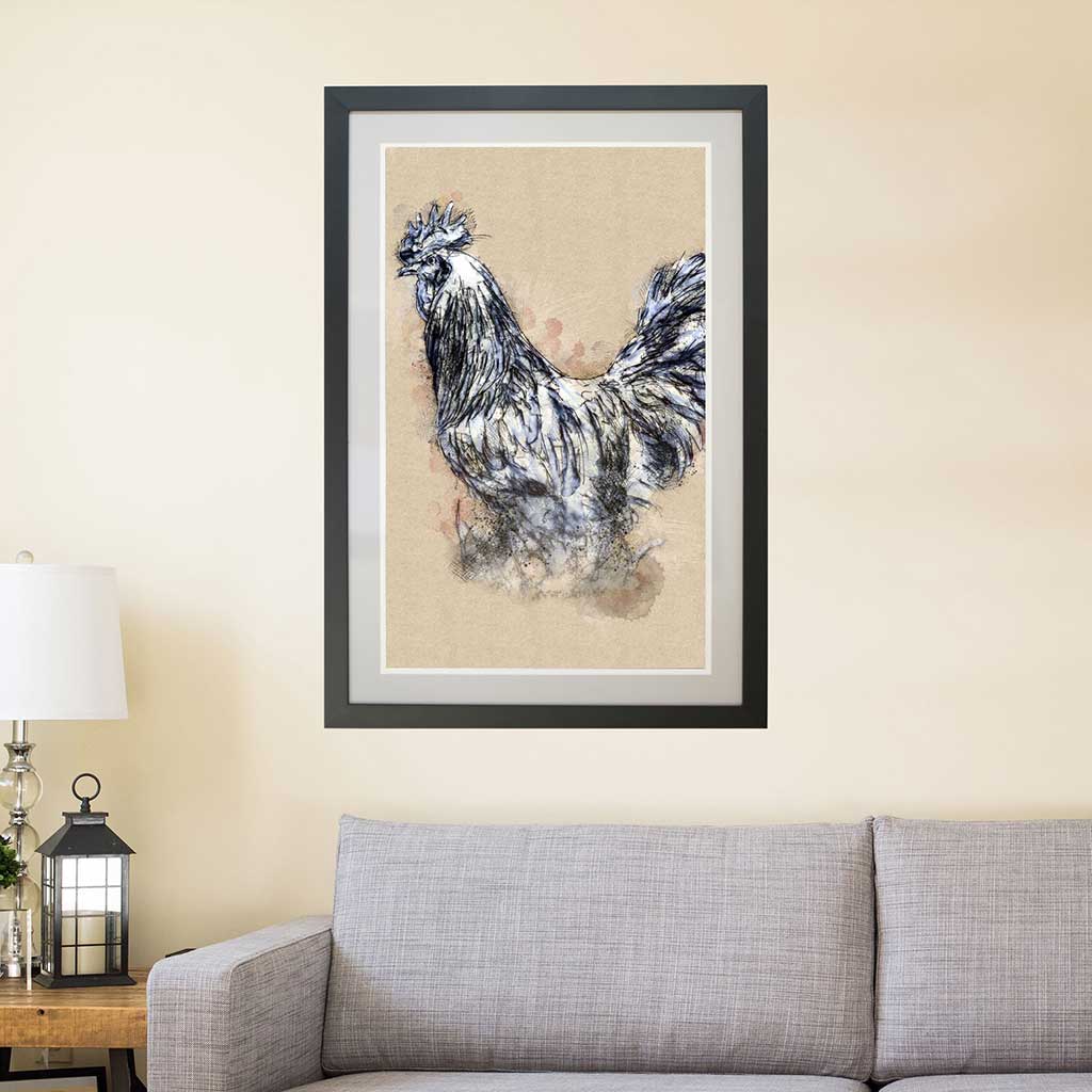 Cockerel