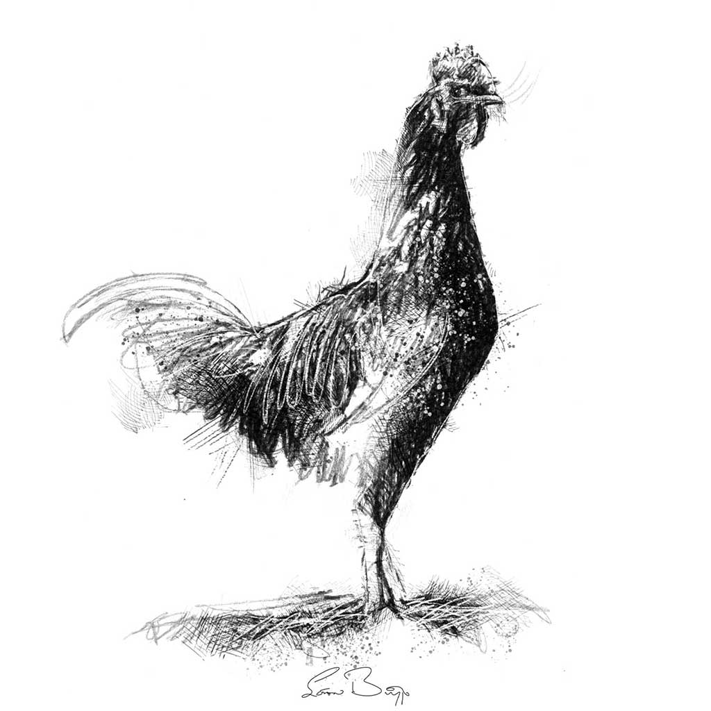 Cockeral