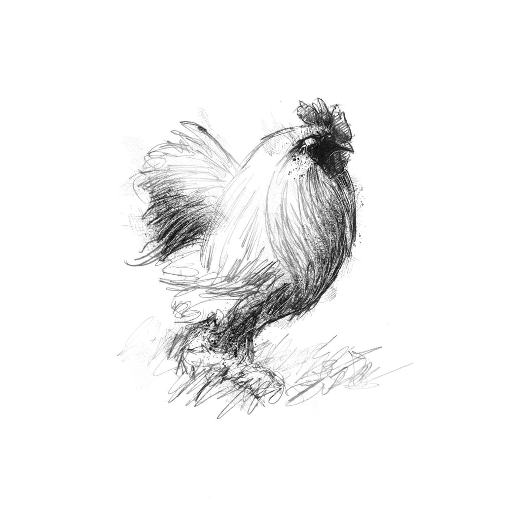 A black and white pencil sketch of a cockerel, shown against a solid white background.