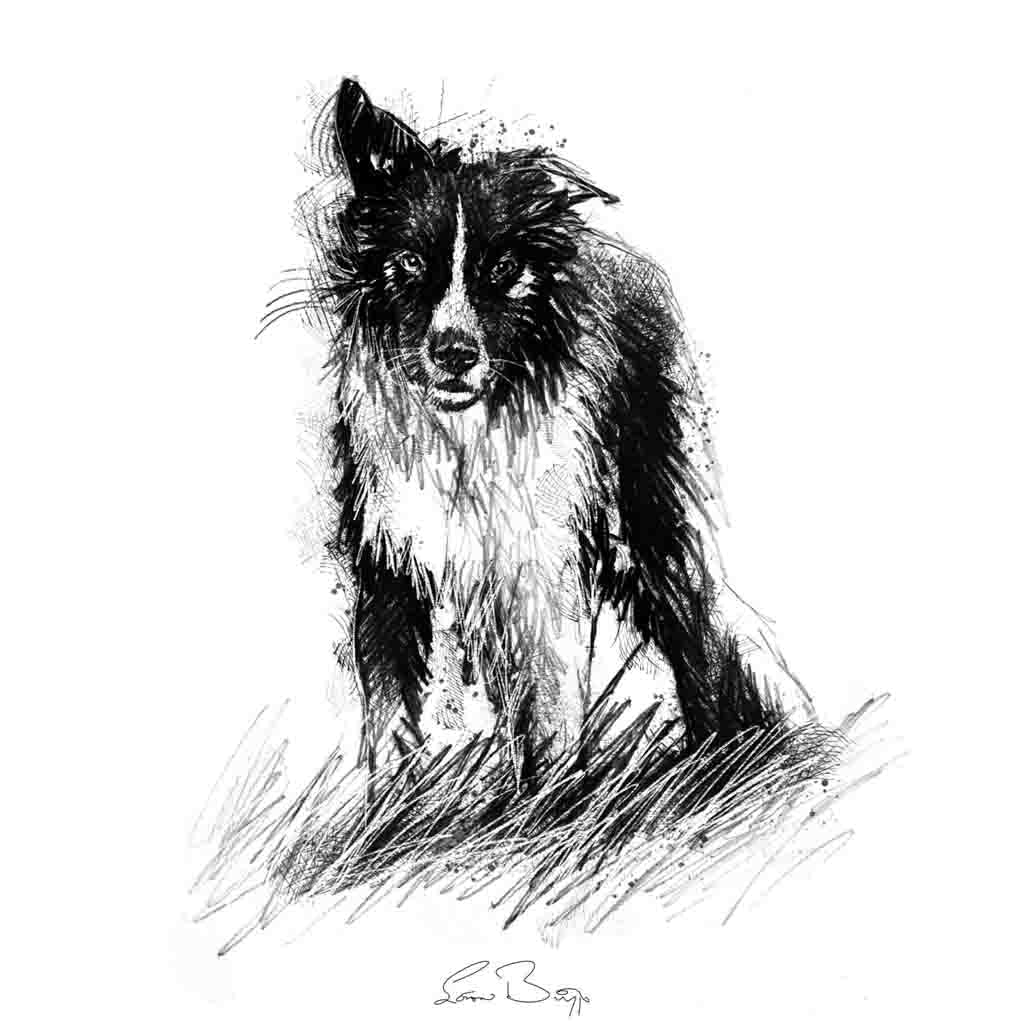 Working dog