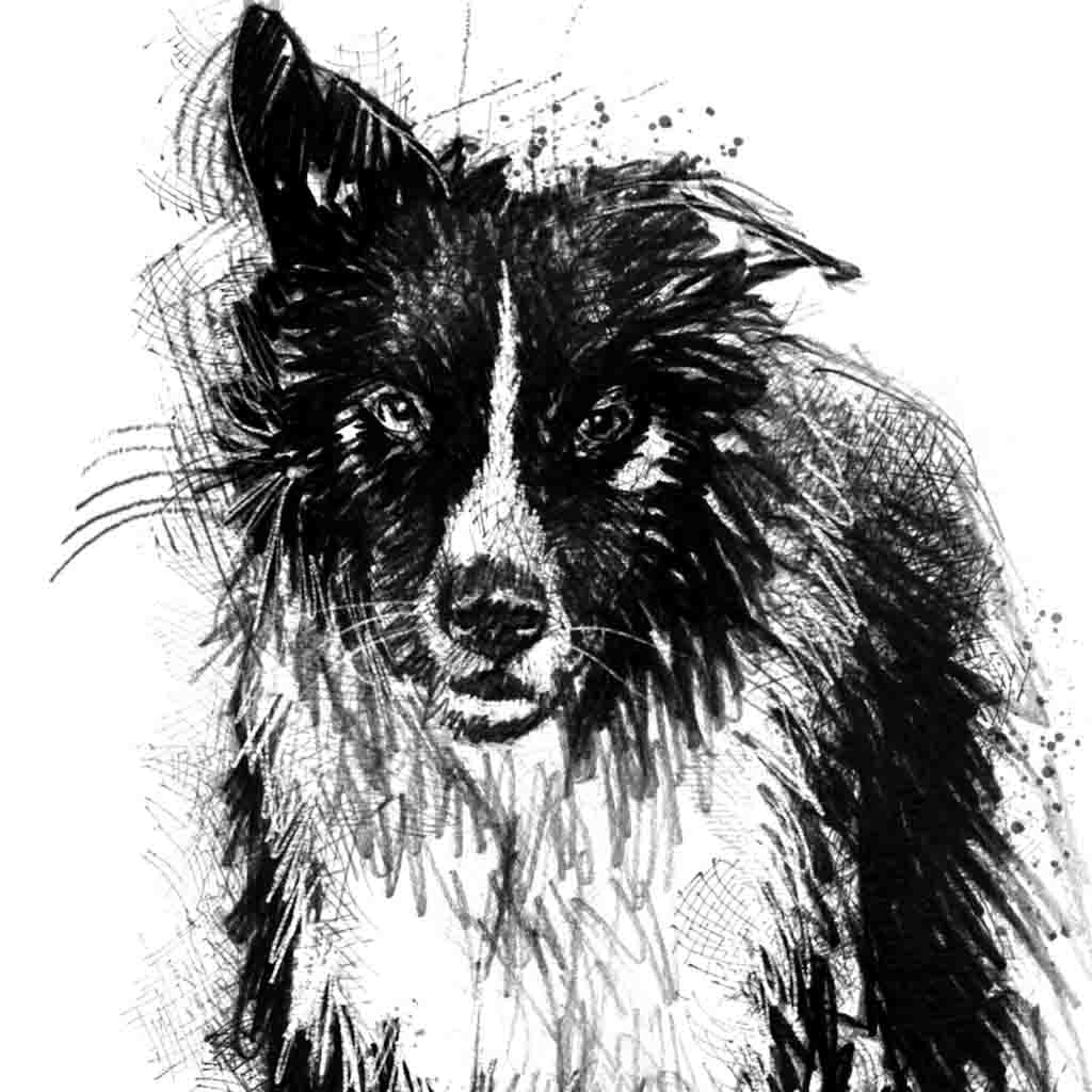 Working dog