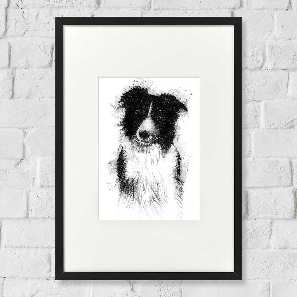 Sheep dog