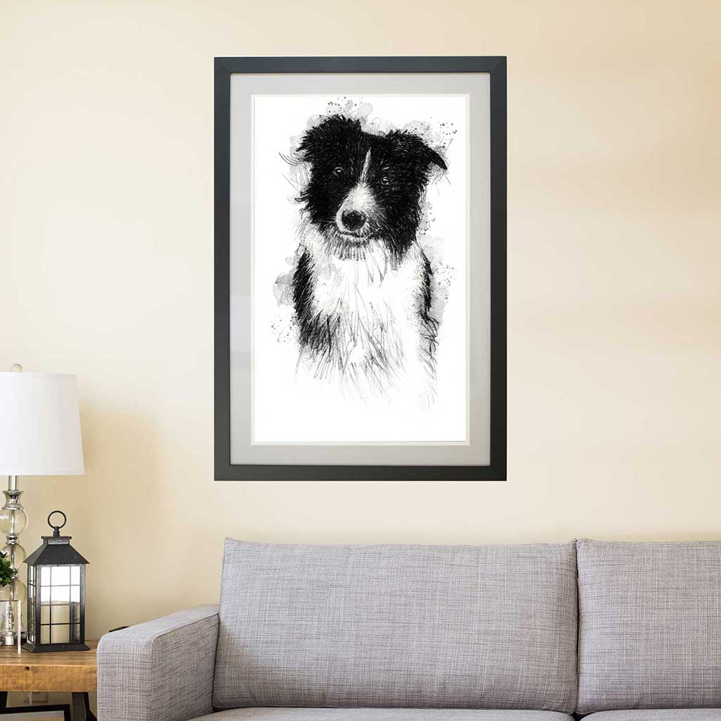 Sheep dog