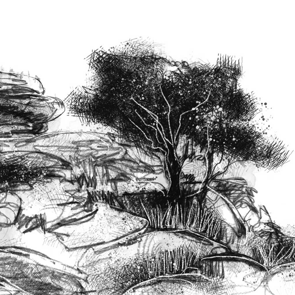 Combshead tor