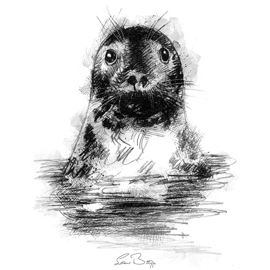 Common seal