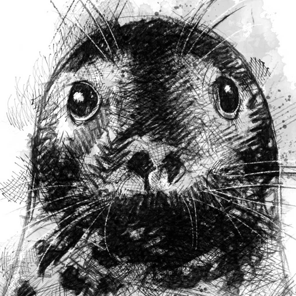Common seal