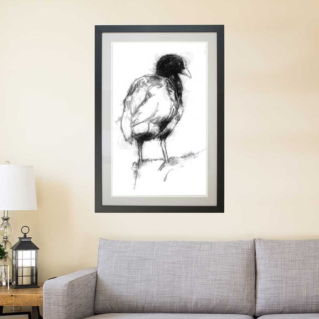 Coot