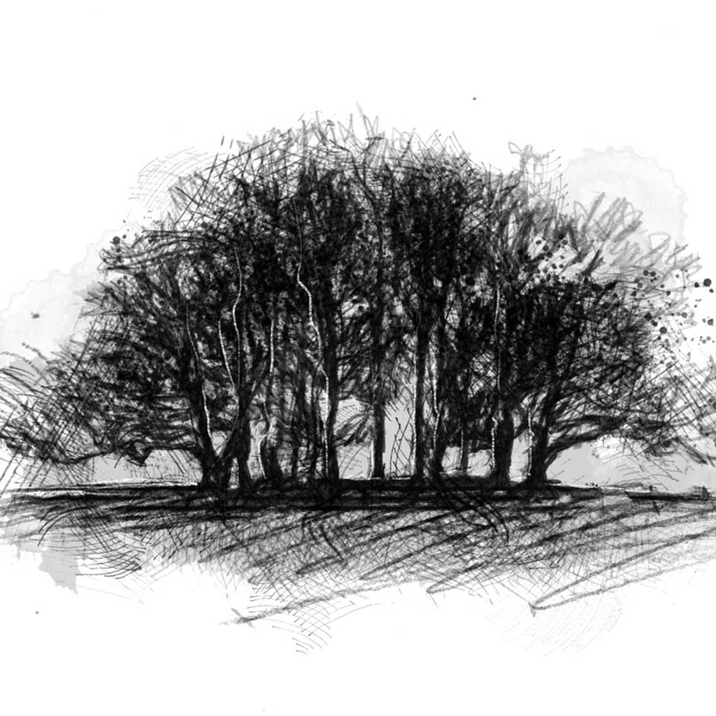 Coppice