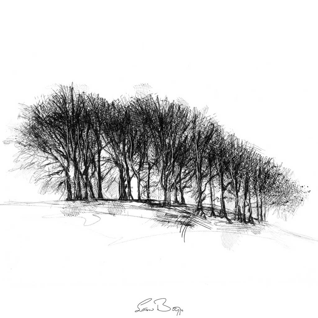 Copse