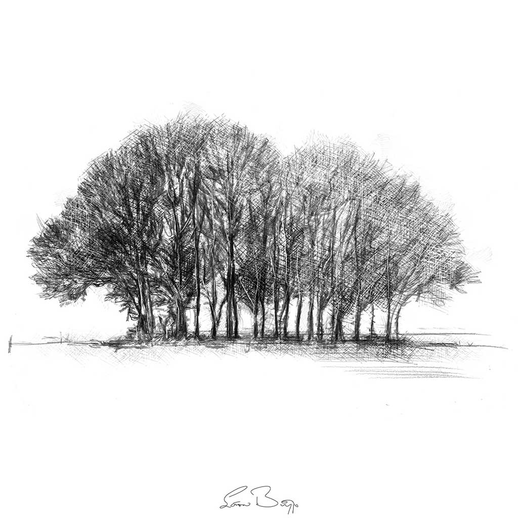 copse
