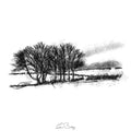 Winter copse