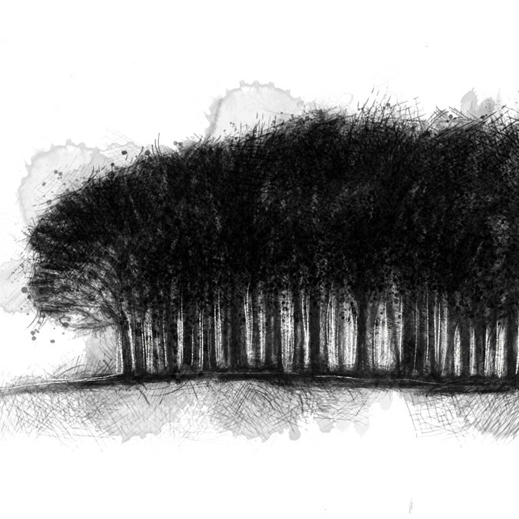 Copse