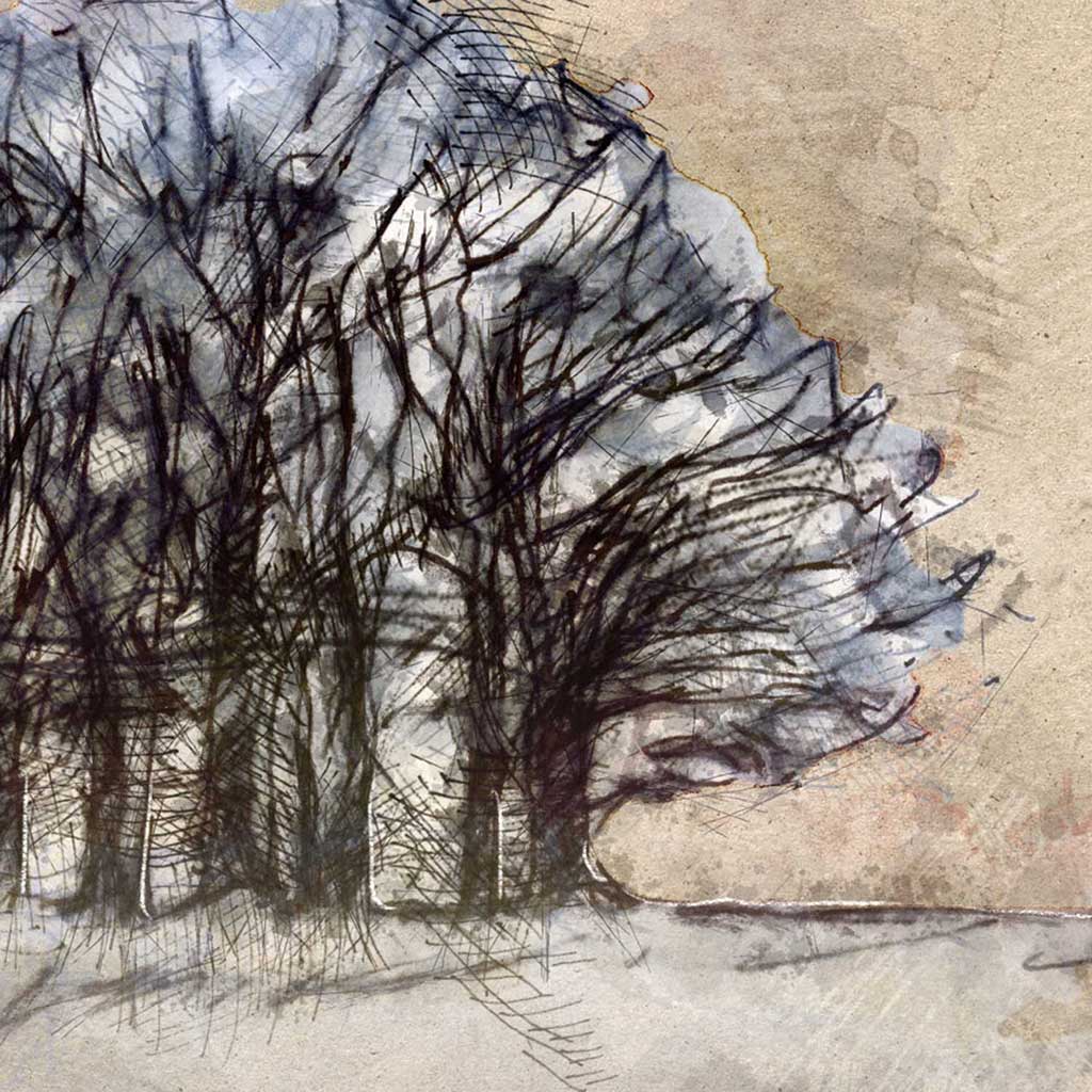 Copse