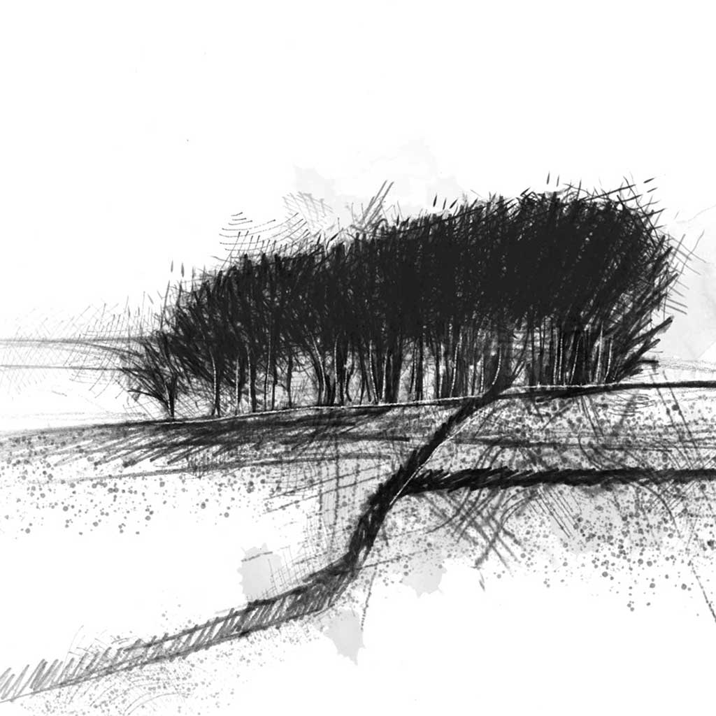Snowy copse