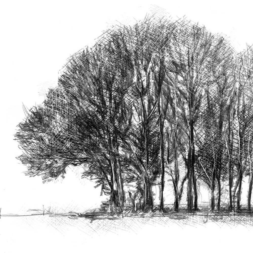 copse