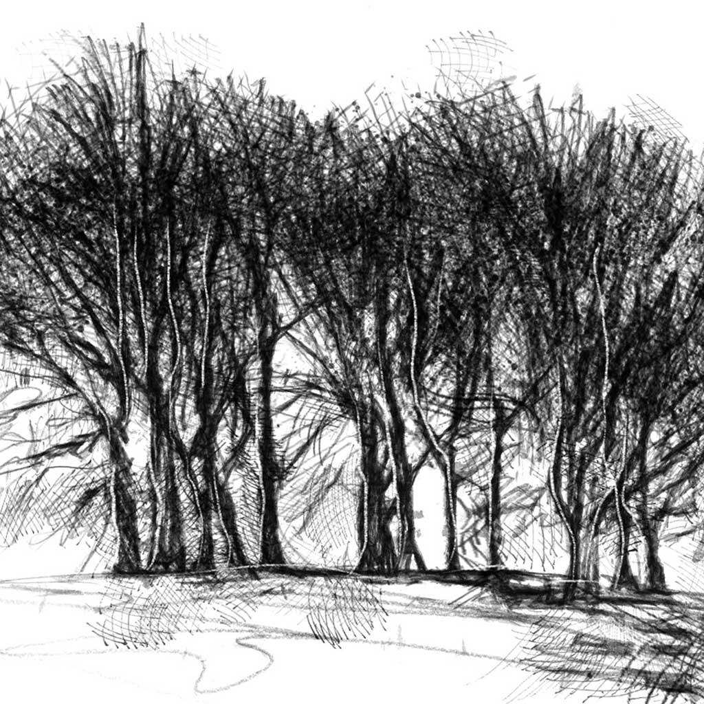 Copse