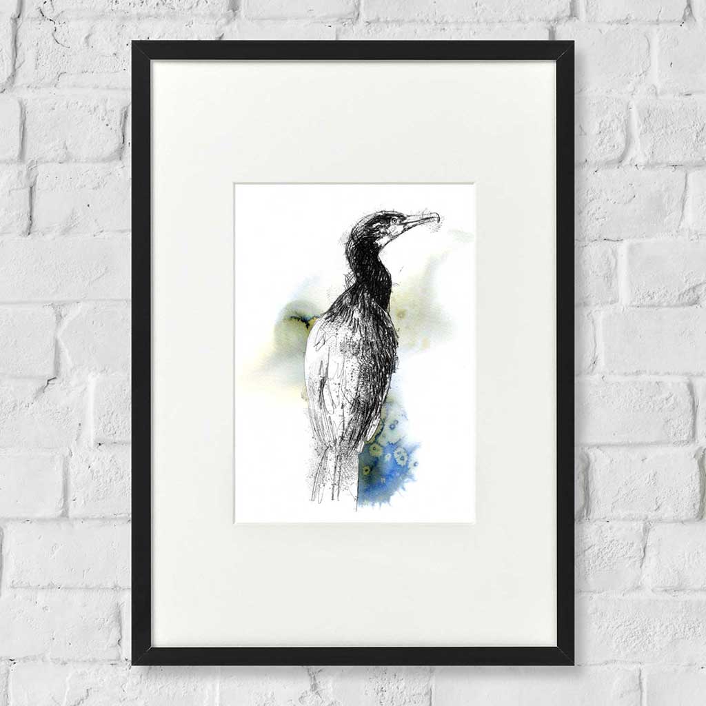 Cormorant