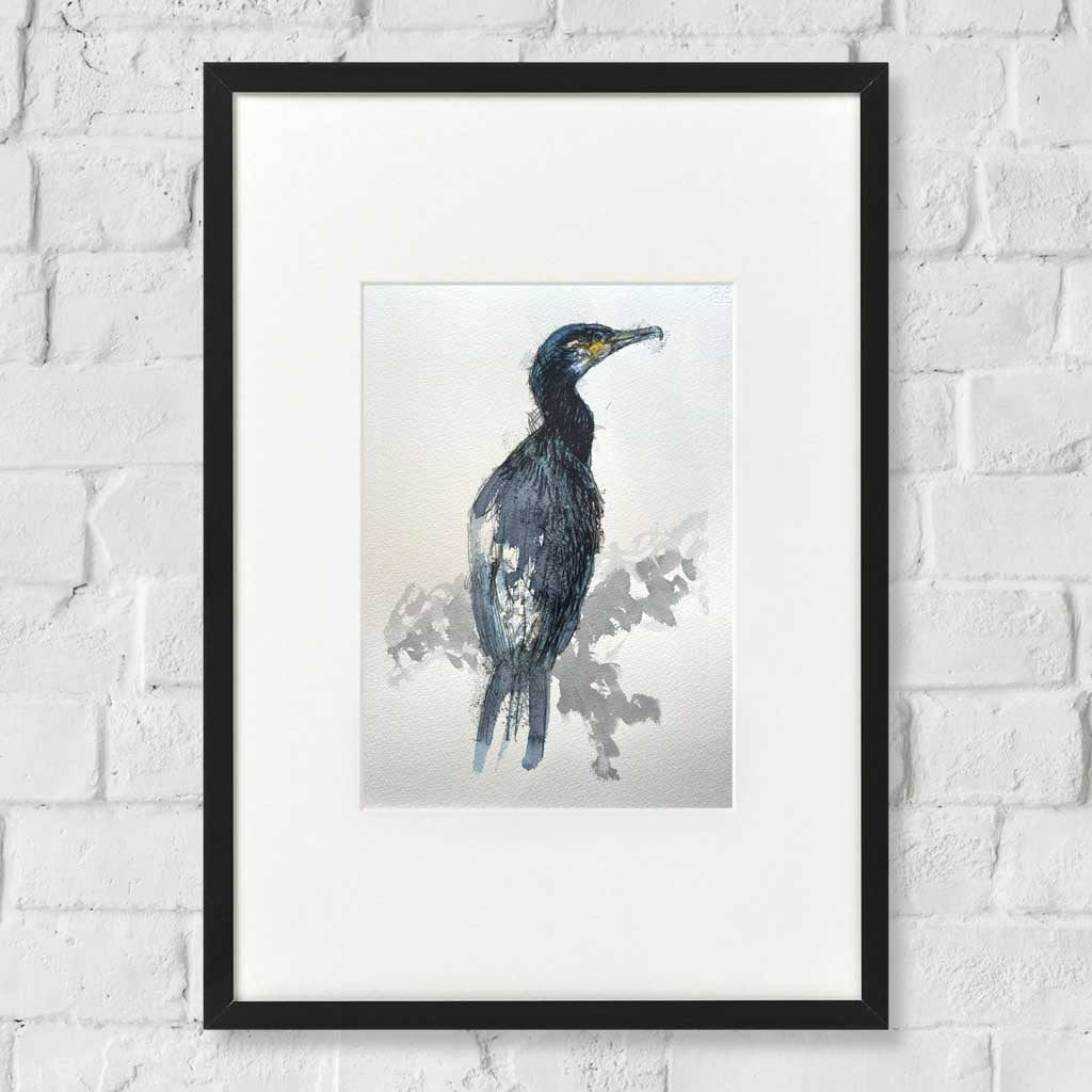 Cormorant sketch